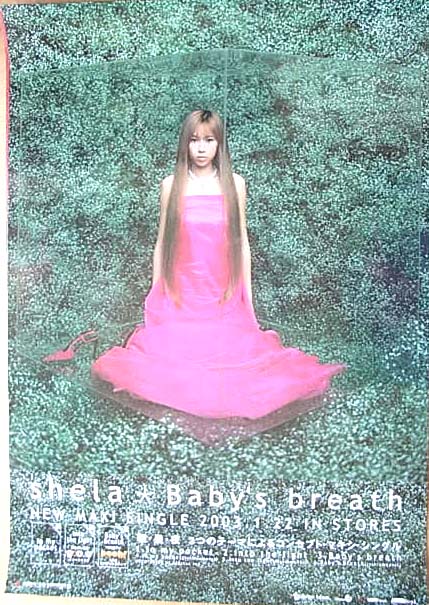 shela 「Baby’s breath」のポスター